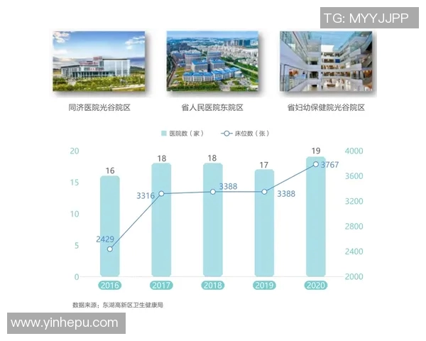 新西兰与日本实力对比分析谁在国际舞台上更具竞争力