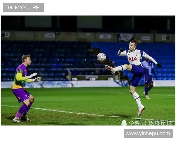 热刺对阵贝尔精彩比赛完整视频回顾与分析尽在此处