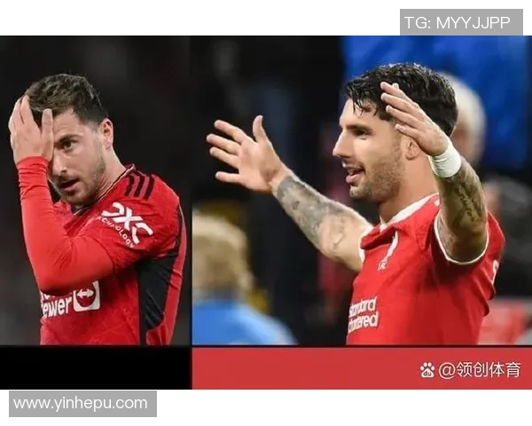 探索索博斯洛伊的历史与文化魅力，揭开这座城市的神秘面纱