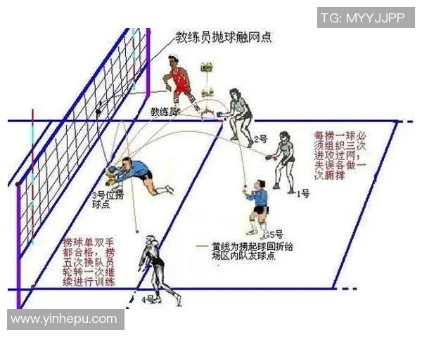 从零起步掌握排球力量技巧全面指南助你成为排球高手 从零起步掌握排球力量技巧全面指南助你成为排球高手