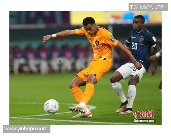 加克波：从新星崛起到足球巨星的成长之路与未来展望