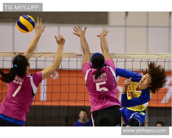 北京排球队在挑战赛中的团队协作表现分析与点评