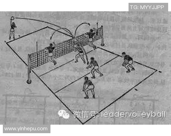 杭州排球队的战术控制与技术分析探讨排球热点新视角MBA
